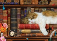 metal-box-the-cat-nap-jigsaw-puzzle-1000-pieces.87699-1.fs.jpg