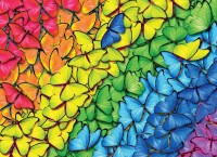 butterfly-rainbow-jigsaw-puzzle-1000-pieces.88778-1.fs.jpg
