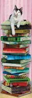 academic-cat-jigsaw-puzzle-1000-pieces.87692-1.jpg