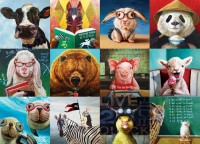 funny-animals-jigsaw-puzzle-1000-pieces.87677-1.fs.jpg