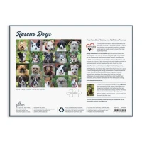 rescue-dogs-1000-piece-puzzle-1000-piece-puzzles-danny-rons-rescue-918126_540x.jpg
