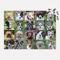 rescue-dogs-1000-piece-puzzle-1000-piece-puzzles-danny-rons-rescue-111730_540x.jpg