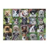 rescue-dogs-1000-piece-puzzle-1000-piece-puzzles-danny-rons-rescue-881072_540x.jpg