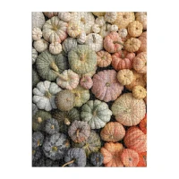 heirloom-pumpkins-1000-piece-puzzle-in-square-box-1000-piece-puzzles-christine-chitnis-174095_2400x.jpg