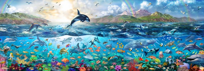 puzzle-anatolian-vida-del-oceano-panoramico-de-1000-piezas-1-23281.jpeg