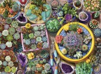 puzzle-anatolian-macetas-de-cactus-de-1000-piezas-1-23282.jpeg