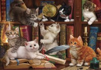 puzzle-anatolian-gatitos-en-la-estanteria-de-500-piezas-1-21109.jpeg