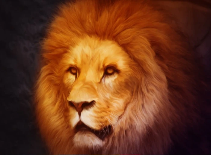 lion-jigsaw-puzzle-2000-pieces_54823-1_fs.jpg