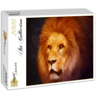 lion-jigsaw-puzzle-2000-pieces_54823-2_fs.jpg