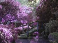 zen-bridge-jigsaw-puzzle-2000-pieces_54855-1_fs.jpg