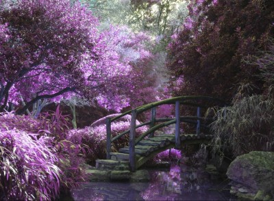 Grafika 2000 - Zen Bridge