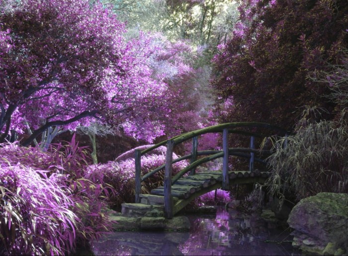 zen-bridge-jigsaw-puzzle-2000-pieces_54855-1_fs.jpg