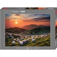 owce pop-600x600.jpg