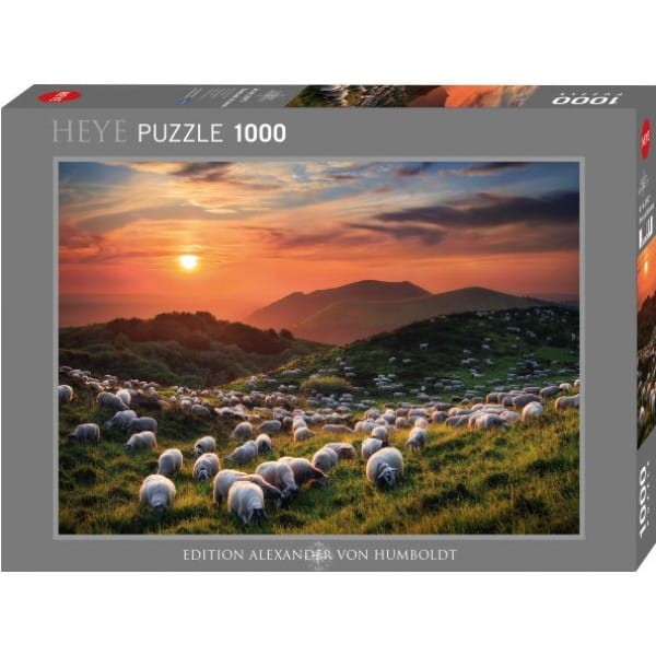 owce pop-600x600.jpg