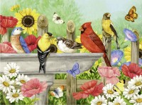 ravensburger-bathing-birds1.jpg