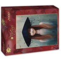 misstigri-night-drop-jigsaw-puzzle-2000-pieces_61711-2_fs.jpg