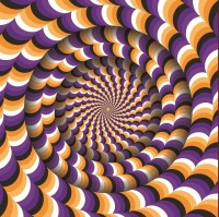 katalog_optical_illusion.jpg