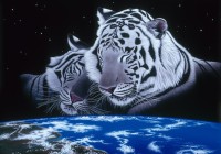 schim-schimmel-sleep-tight-jigsaw-puzzle-1500-pieces.59821-1.fs.jpg