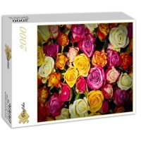 roses-jigsaw-puzzle-2000-pieces_54807-2_fs.jpg