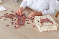 Papillon-Illusionniste-Puzzle-en-bois-1-800x533.jpg