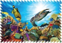 LOasis-Corail-Puzzle-en-bois-5-800x554.jpg
