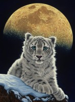 schim-schimmel-moon-leopard-jigsaw-puzzle-2000-pieces_59782-1_fs.jpg