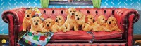 m-panoramaticke-puzzle-labradori-na-psi-pohovce-1000-dilku-134565.jpg