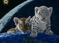 schim-schimmel-total-eclipse-jigsaw-puzzle-2000-pieces_59767-1_fs.jpg