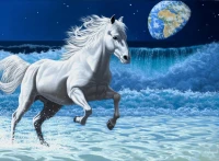 schim-schimmel-wave-runner-jigsaw-puzzle-2000-pieces_61696-1_fs.jpg