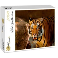 tiger-jigsaw-puzzle-2000-pieces_53056-2_fs.jpg