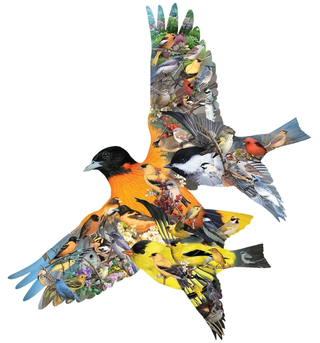 oriole-jigsaw-puzzle-1000-pieces.89797-1.fs.jpg