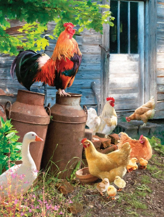 ches-pachela-hen-run-jigsaw-puzzle-1000-pieces.89769-1.fs.jpg