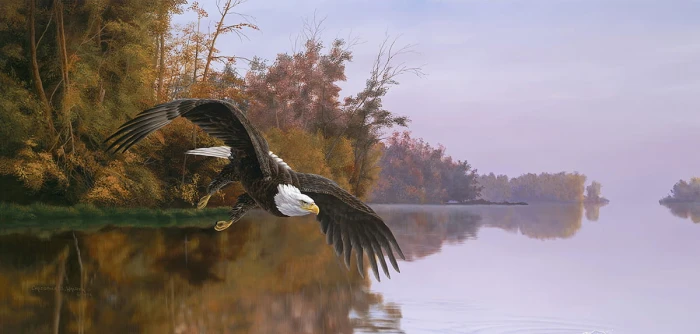 christopher-walden-lake-patrol-jigsaw-puzzle-1000-pieces.89782-1.fs.jpg