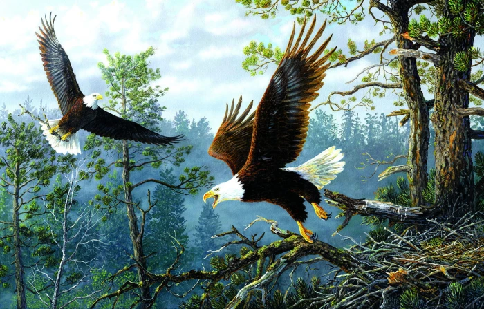 masters-of-the-clouds-jigsaw-puzzle-1000-pieces.89795-1.fs.jpg