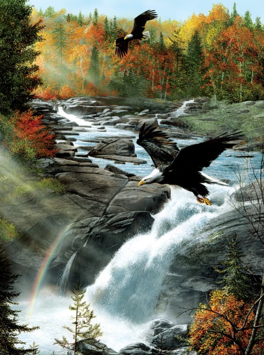 gooseberry-falls-jigsaw-puzzle-1000-pieces.89723-1.fs.jpg