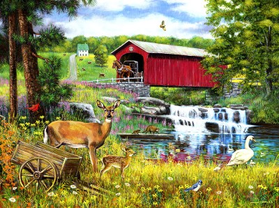 SunsOut 1000 - Crossing the Falls