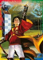 harry-potter-quidditch-jigsaw-puzzle-250-pieces.85712-1.fs.jpg