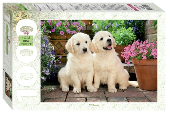 step-puzzle-a-couple-of-puppies-jigsaw-puzzle-1000-pieces.89799-1.fs.jpg