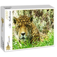 jaguar-jigsaw-puzzle-1000-pieces_53050-2_fs.jpg