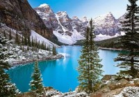 image_511347_942160_w1200_h1200_c52b634921967ecdfe26c325ca96f740.jpg