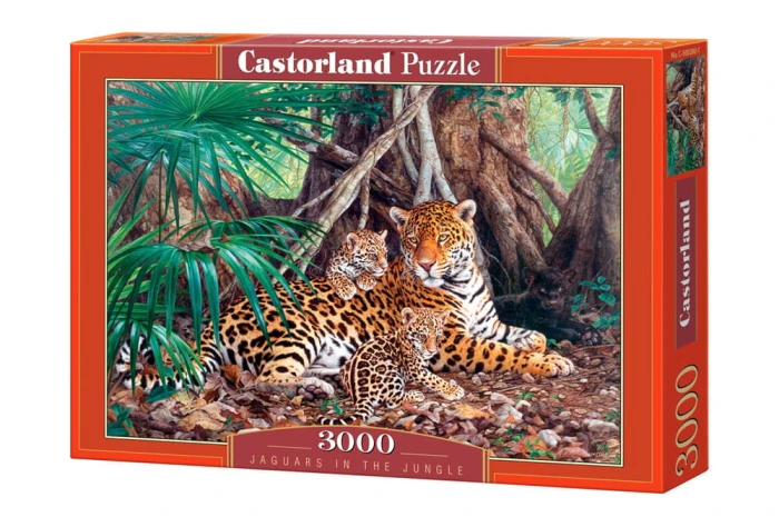 C-300280_box.jpg