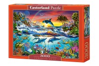 300396-box.jpg