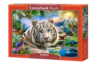 151318-box.jpg
