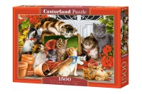 151639-box.jpg