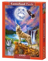 151806-box.jpg