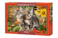 151899-box.jpg