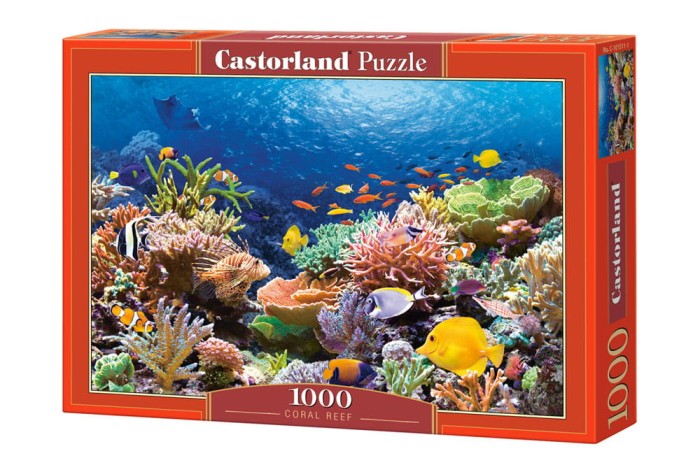 C-101511_box.jpg