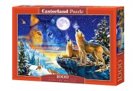 103317-box.jpg