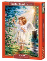 103867-box.jpg