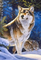 sentinel-jigsaw-puzzle-1000-pieces.65039-1.fs.jpg
